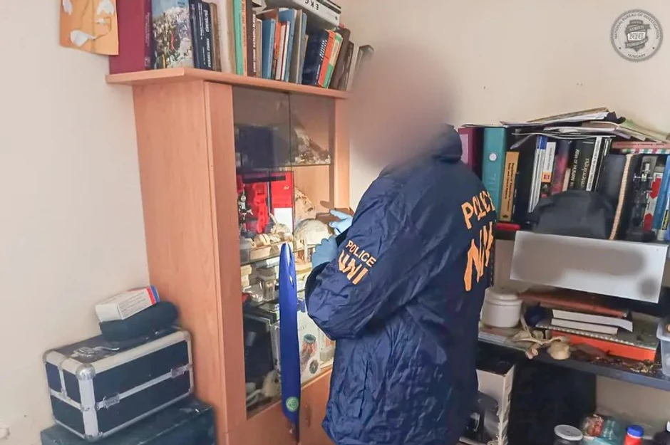 Hapšenje u Mađarskoj