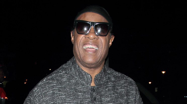 Stevie Wonder vicces felfedezést tett /Fotó: Northfoto