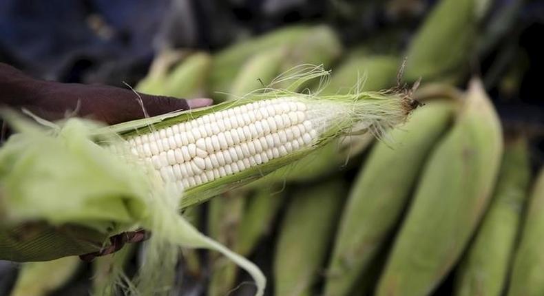 A hawker prepares a cob of corn at his makeshift shop in Soweto, January 27, 2016. REUTERS/Siphiwe Sibeko