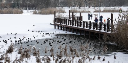 2-letnie dziecko wpadło do wody w Parku Szczęśliwickim!