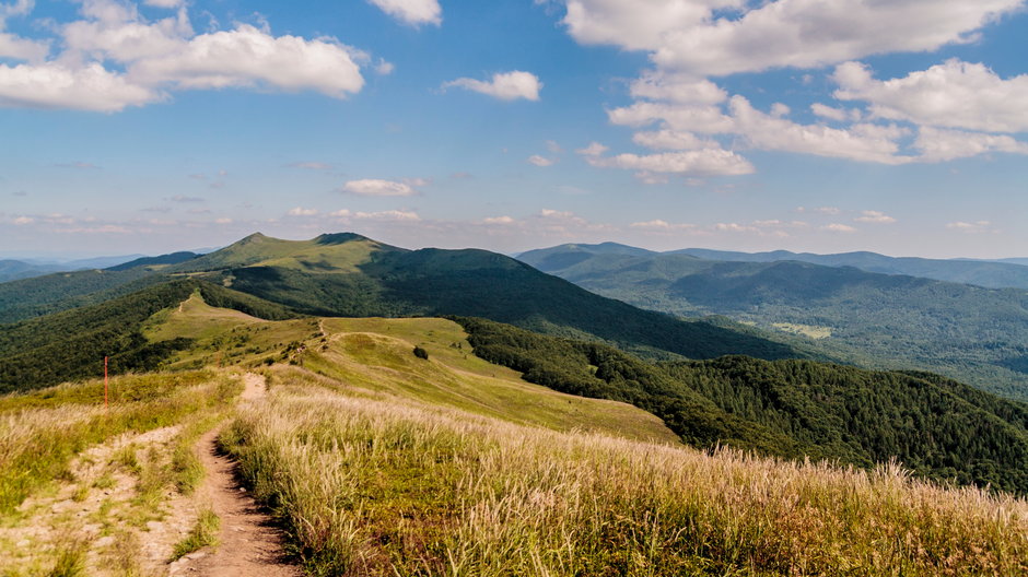 Smerek, Bieszczady