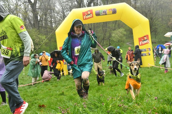 (FOTO) Prva trail trka sa psima u Beogradu okupila više od 200 učesnika