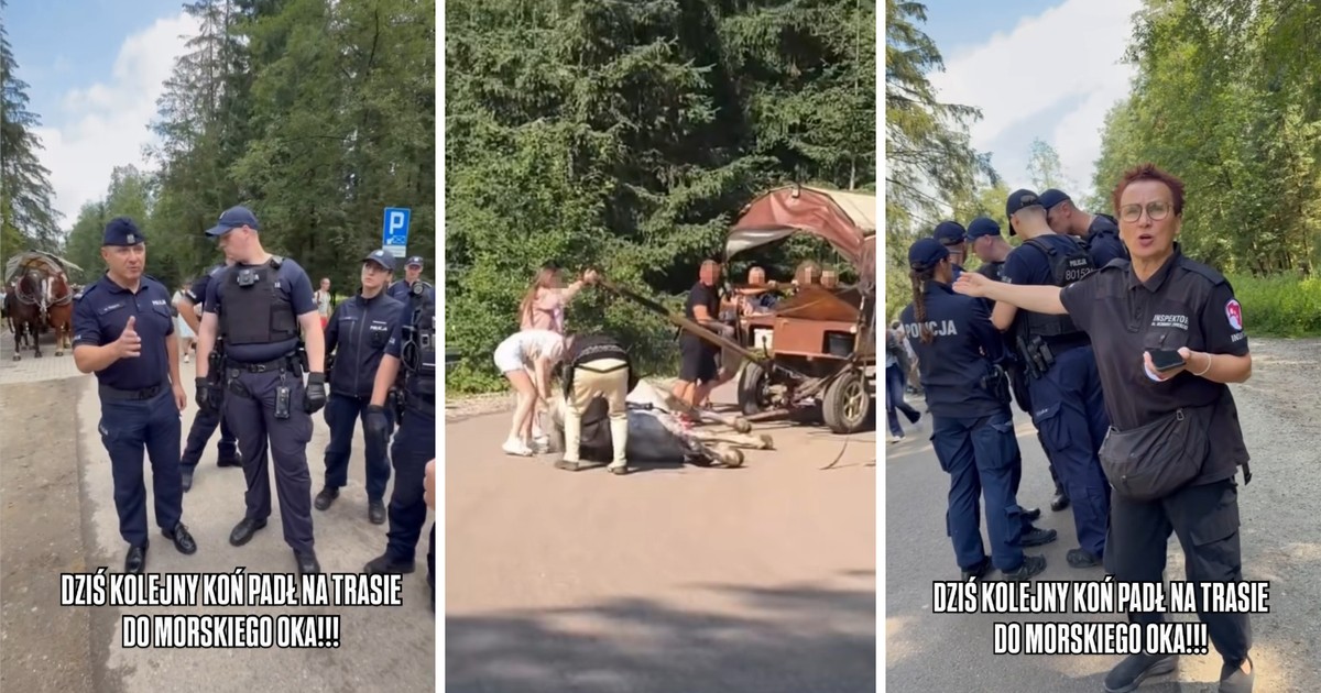 Koń padł na trasie do Morskiego Oka – burza wokół DIOZ