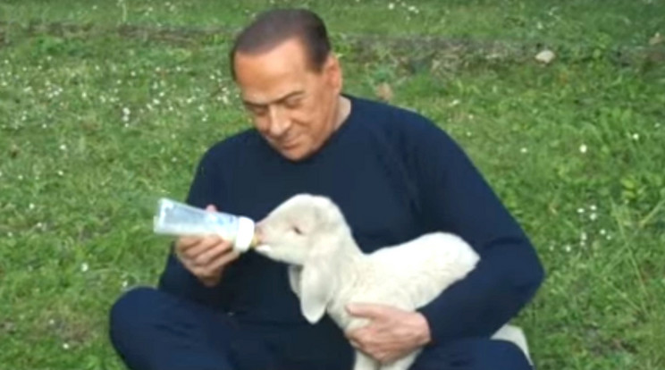 Berlusconi bárányt cumiztat. Nem idilli?