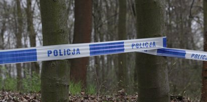 Tragedia w lesie. Wyszedł tylko na spacer. Nie żyje