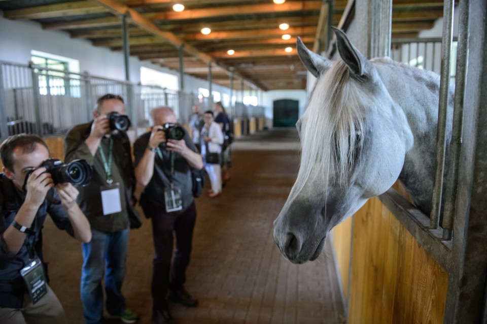 Fotoreporterzy w stajni