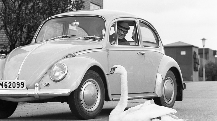 86 éves a Volkswagen / Fotó: Profimedia