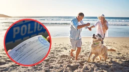 500 zł mandatu za wejście z psem do parku lub na plażę. zakaz obejmuje także psy asystujące osobom niepełnosprawnym. interwencja rpo