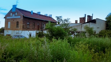 Pierwszy taki Warsztat w Krakowie. "Zależy nam na szczerości i zaangażowaniu"