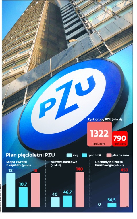 Plan pięcioletni PZU