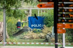 Dlaczego tygrys zabił pracownika? ZDJĘCIA z wrocławskiego zoo.