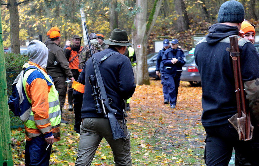 Obrońcy zwierząt nie dopuścili do polowania. Oto, co zrobili