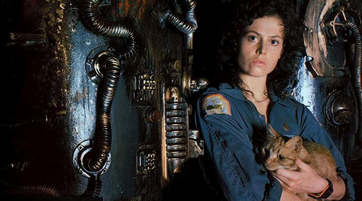 Ellen Ripley (Sigourney Weaver) a sci-fi filmek történelmének egyik legkeményebb hősnője / Fotó: 20th Century Fox