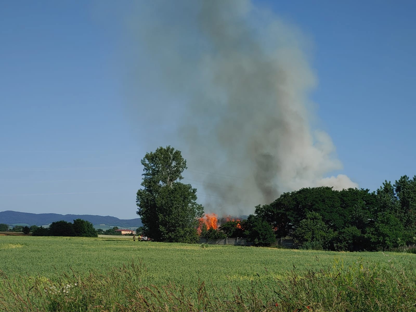 Požiar poľnohospodárskeho družstva v Potvoriciach. 