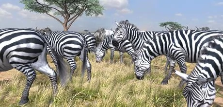 Screen z gry "Afrika"