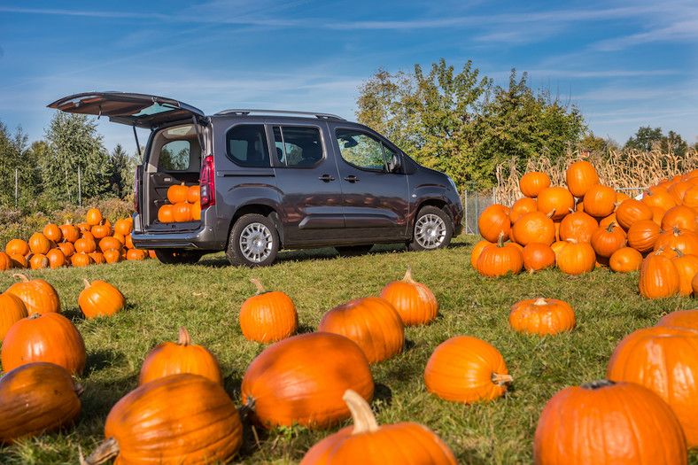 Nowy Opel Combo