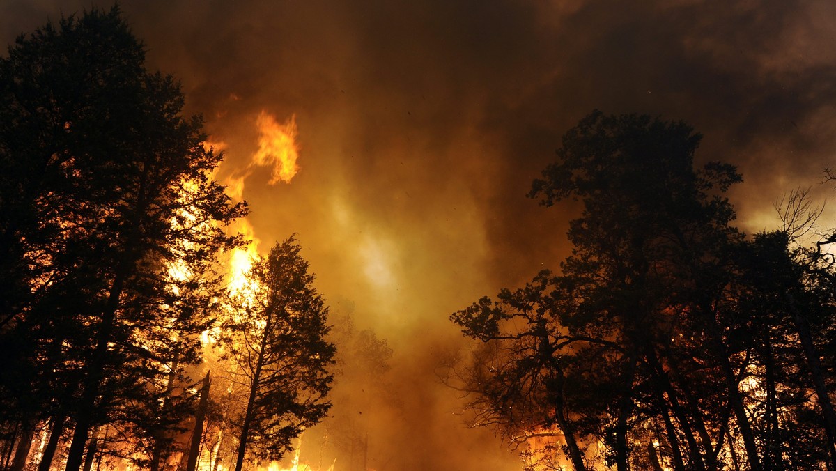 USA TEXAS WILDFIRES