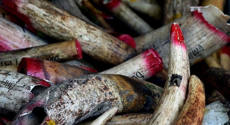 Malaysian authorities have arrested a Vietnamese man and seized a stash of elephant ivory worth almost $70,000