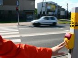 Przywileje pieszych wychodzą z sejmowej zamrażarki