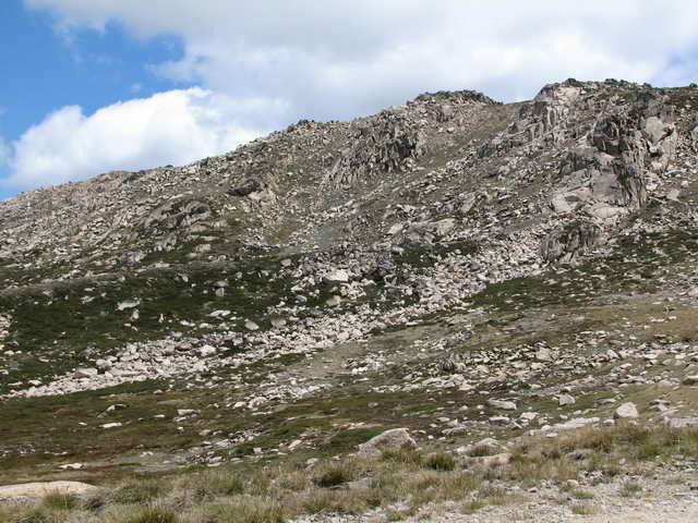 Galeria Australia - Kosciuszko National Park, obrazek 19