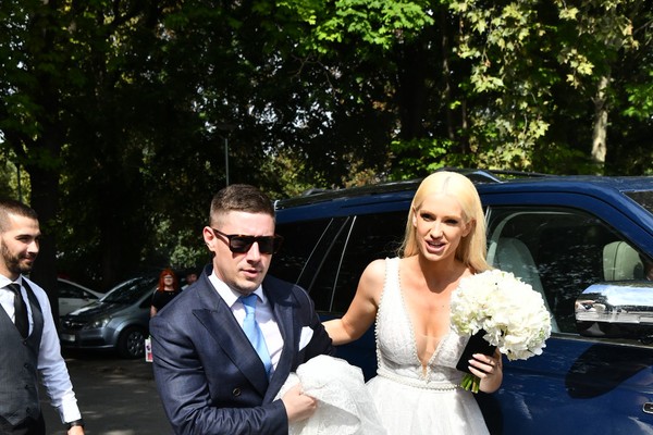 Velika bela ajkula/Ilustracija