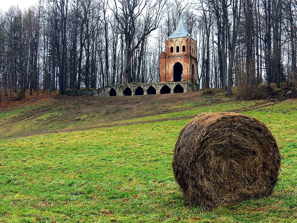 Bukowiec