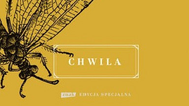 "Chwila" Wisławy Szymborskiej. Recenzja Joanny Grądziel-Wójcik