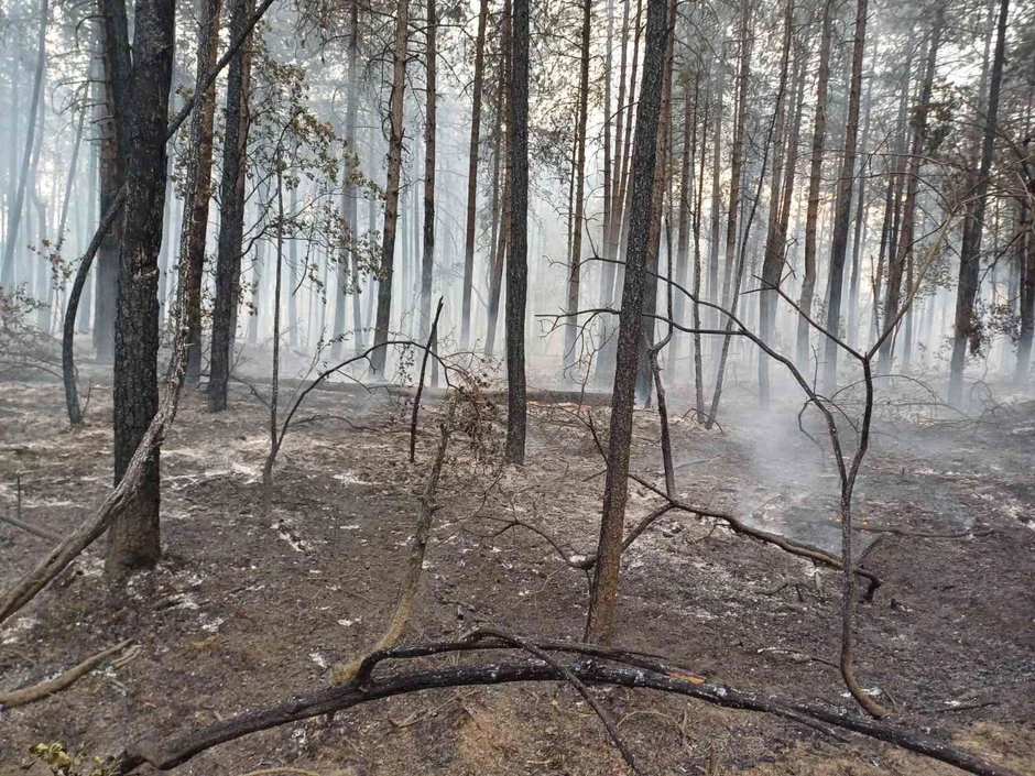 Požar u Deliblatskoj peščari