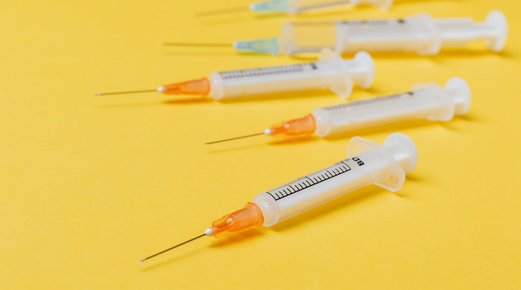 Napokon belül elkezdődhet az oltás a Novavax vakcinájával Németországban /Illusztráció: Pexels