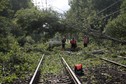 Burze z gradem nad Polską. Usuwanie skutków nawałnic 