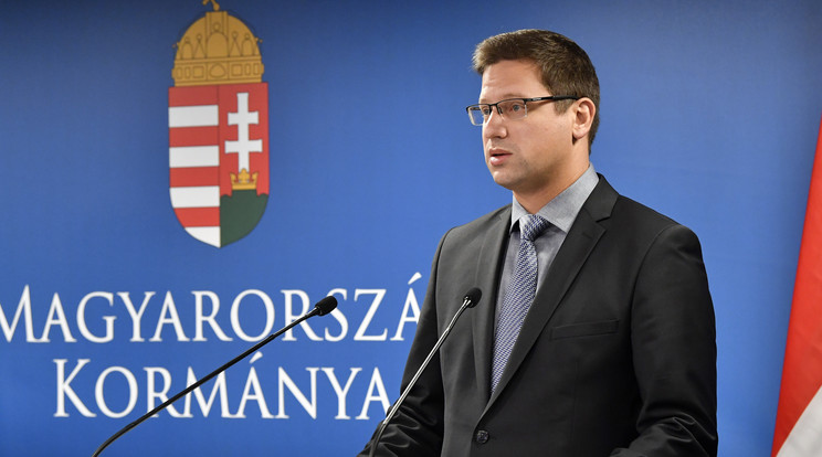 Gulyás Gergely, a Miniszterelnökséget vezető miniszter / Fotó: MTI/Máthé Zoltán