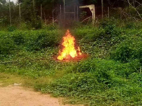 Polytechnic burns phones seized from students during exams