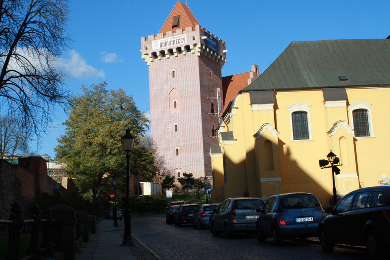 Zamek Królewski w Poznaniu