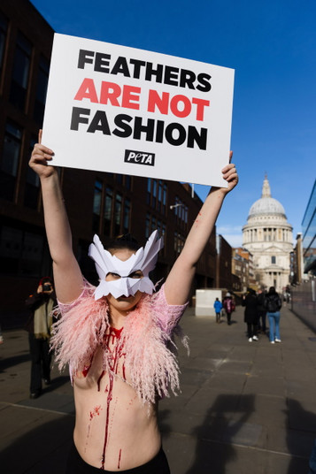 Protest członów PETA na London Fashion Week przeciwko używaniu naturalnych piór