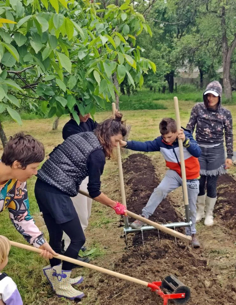 Povratak prirodi u selu, Jelena i Rik