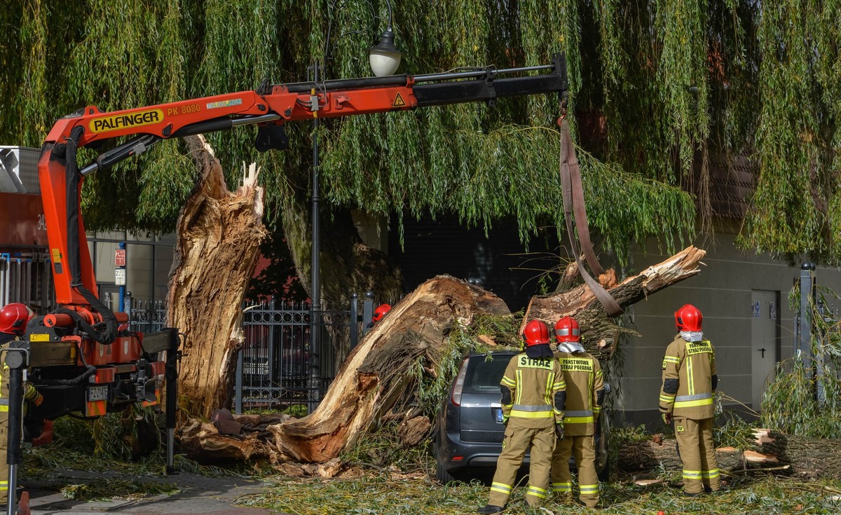 Skutki silnego wiatru w Zielonej Górze