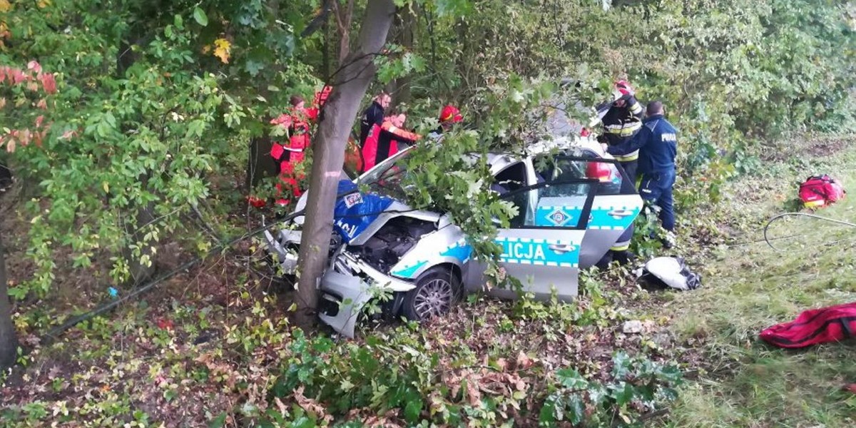 Wjechał w radiowóz i zepchnął go na drzewo