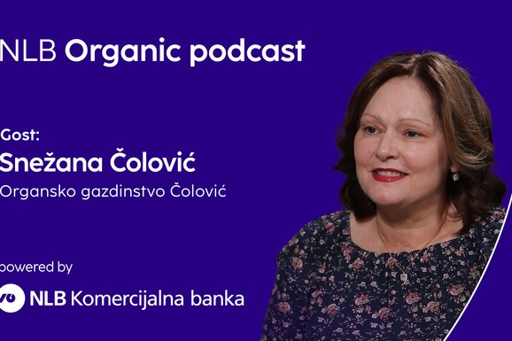 Kako je zaboravljeni voćnjak postao organska oaza i čuvar sorti koje nestaju (VIDEO)
