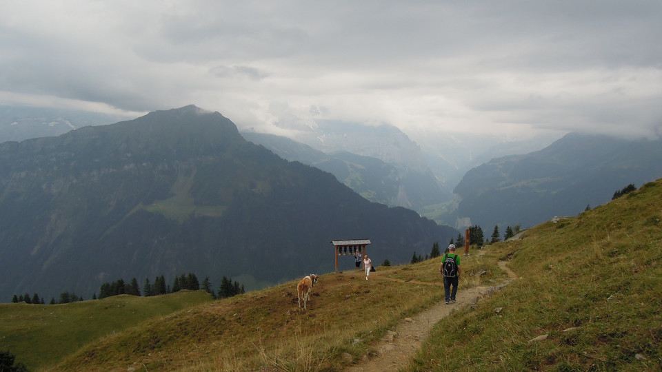 Alpejski widok z wysokości ok. 2000 m n.p.m.