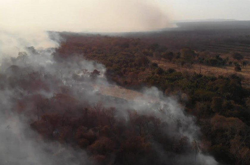 Pożar Amazonii. Płoną lasy deszczowe. Płuca świata zagrożone ogniem