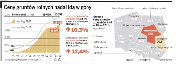 Ceny gruntów rolnych