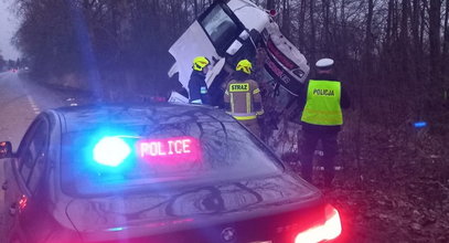 Kierowca ciężarówki uderzył w drzewo. Tragiczny finał