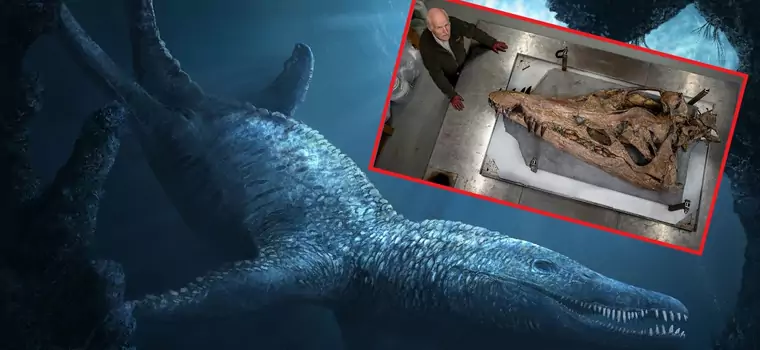 Odkryto czaszkę "morskiej bestii". Znalezisko sprzed 150 mln lat
