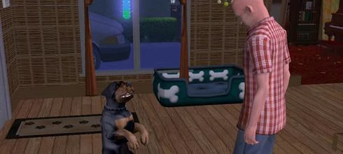 Screen z gry The Sims 2: Zwierzaki