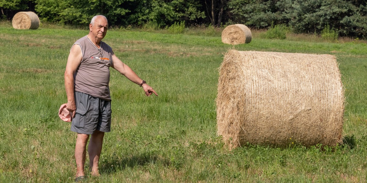 Kosiarze opamiętajcie się. W trawach, które ścinacie bytują młode zwierzęta