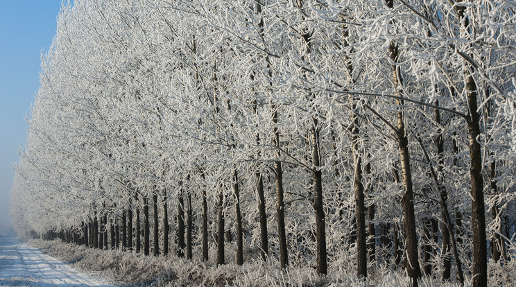 Csodás téli fotók Hajdószovát közelében / Fotó:MTI