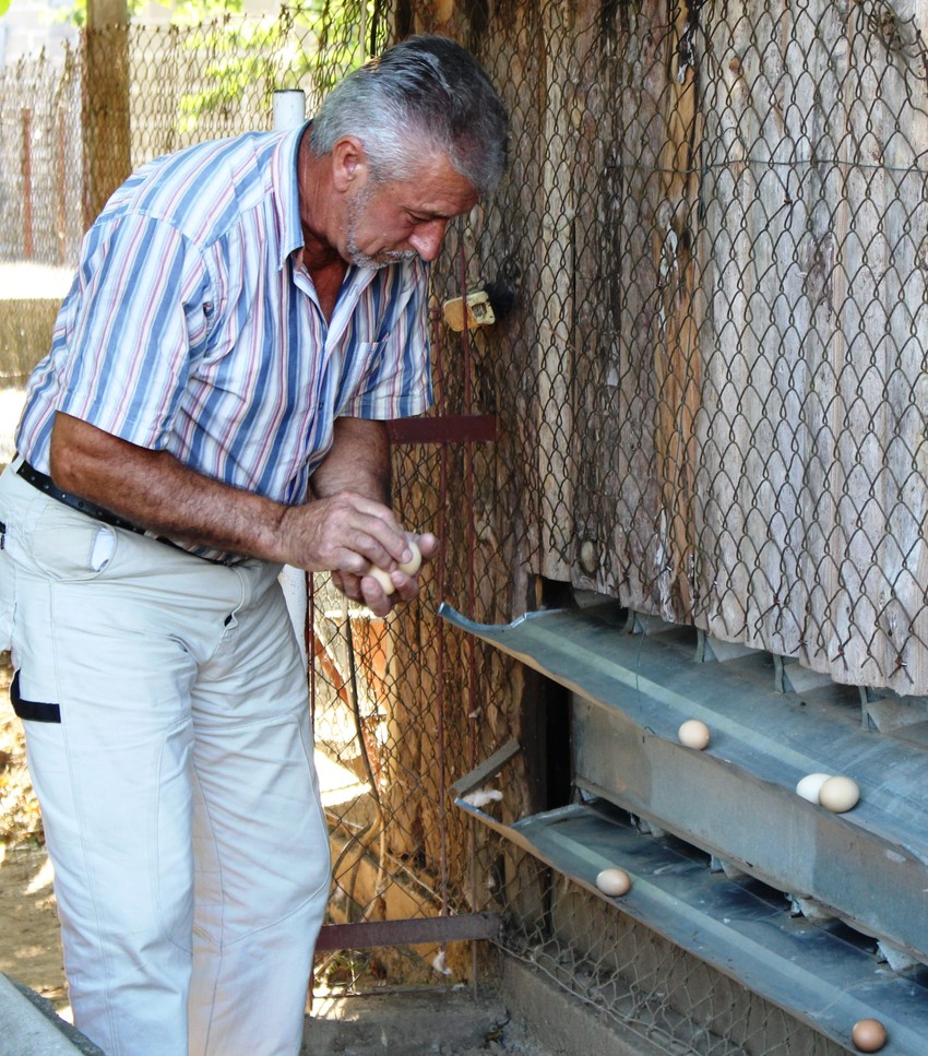 Živi zdravo i bez stresa