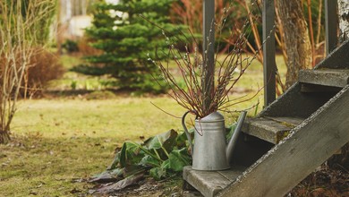 Marzec w ogrodzie [Kalendarz ogrodnika]