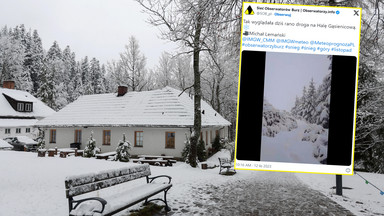 Silne śnieżyce na południu Polski. W Tatrach prawie pół metra śniegu [ZDJĘCIA]