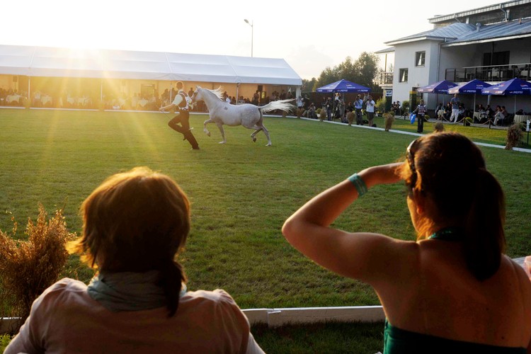 Przez lata zyskała ona miano  jednej z największych imprez promocyjno-handlowych dla koni arabskich na świecie